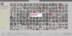 flickr-restrict-album