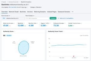 toxic score TelU semrush backlink analytics