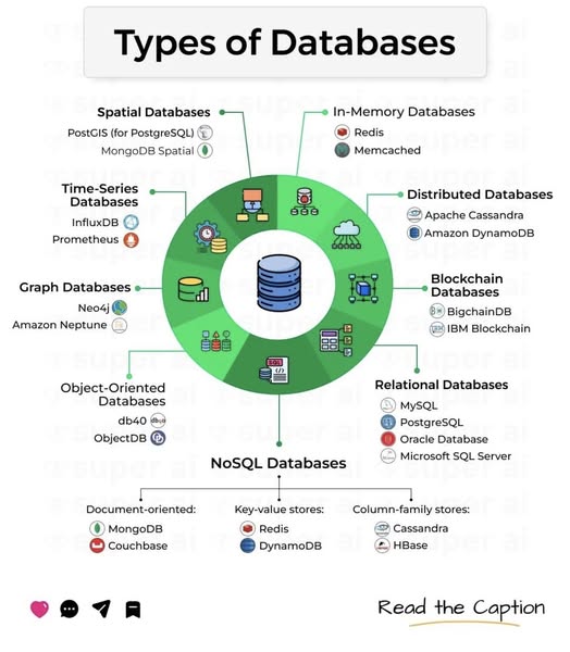 Mengenal Jenis-Jenis Database: Materi Penting dalam Perkuliahan Prodi ...