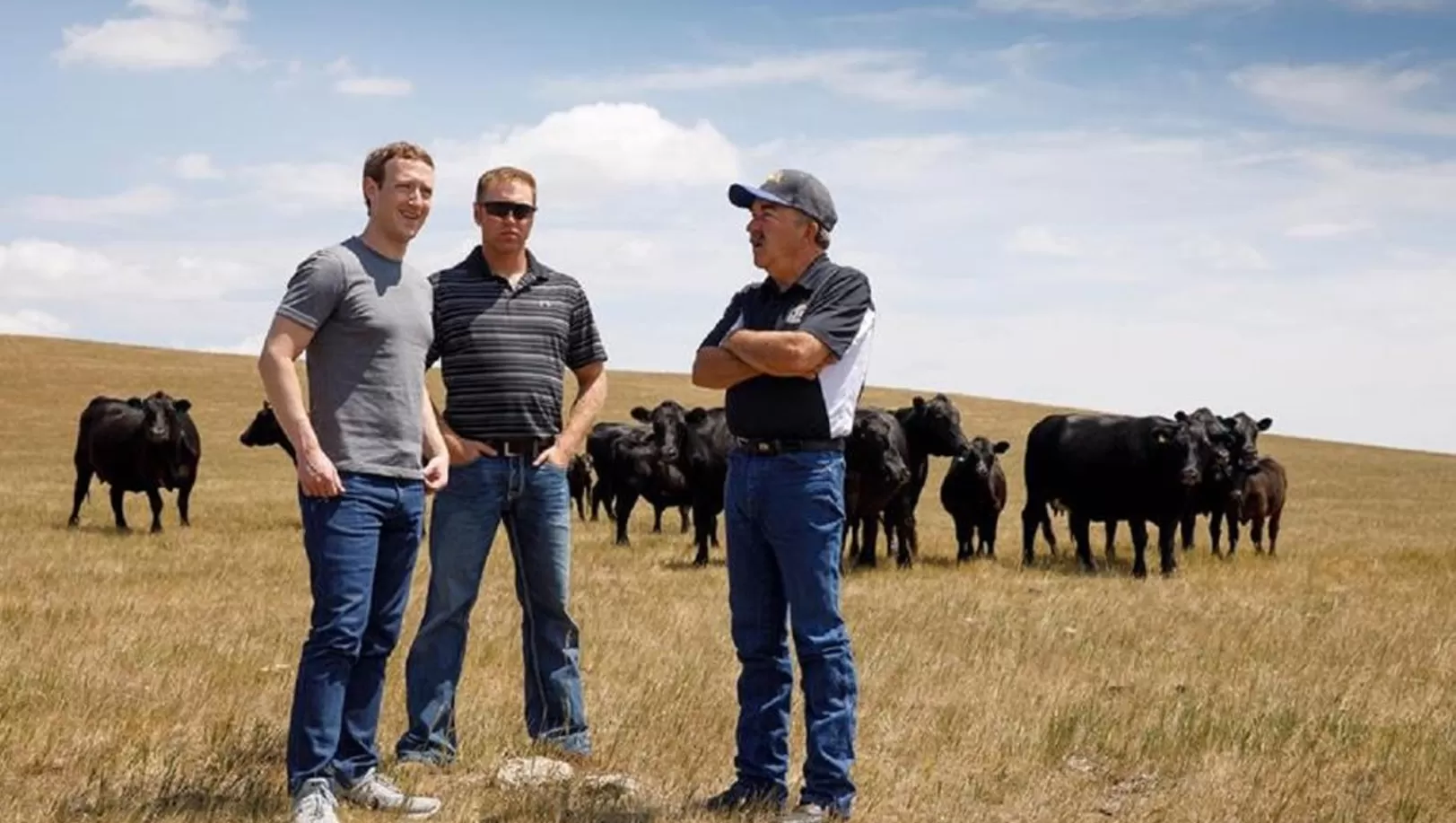 Mark Zuckerberg berinvestasi besar di peternakan