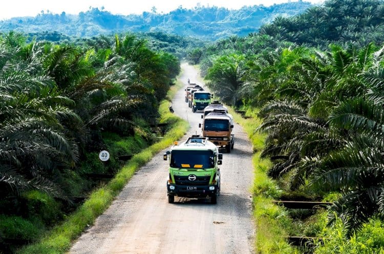 Indonesia sukses stop impor solar berkat B50! Kini saatnya beralih ke bioetanol dari gula untuk gantikan bensin. Simak analisis energi masa depan di sini.